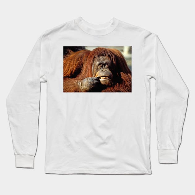 Orangutan Long Sleeve T-Shirt by photogarry